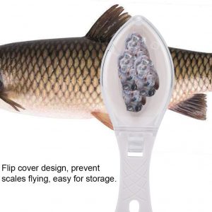 Fish scale remover – Αφαίρεση κλίμακας ψαριού 03